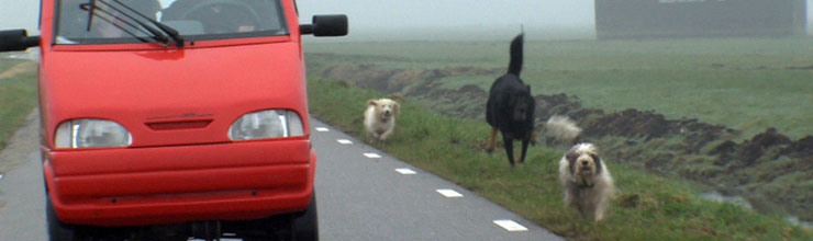 Alles van waarde