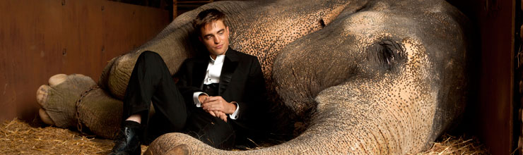Water for Elephants Water for Elephants