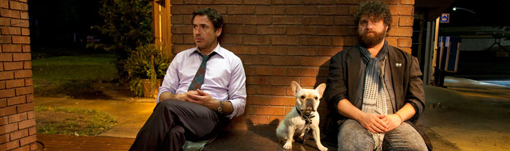 Due Date