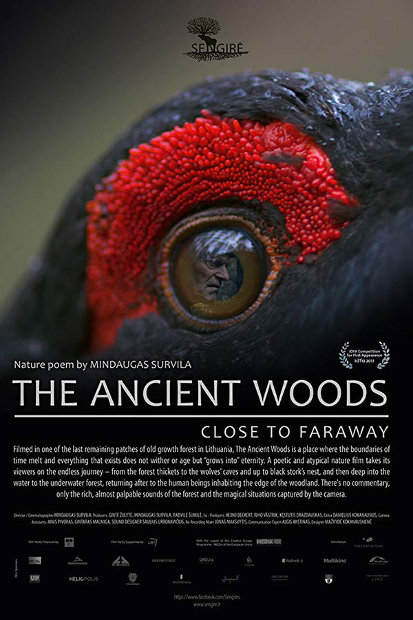 The Ancient Woods The Ancient Woods