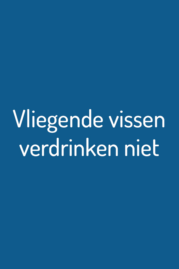 Vliegende vissen verdrinken niet Vliegende vissen verdrinken niet