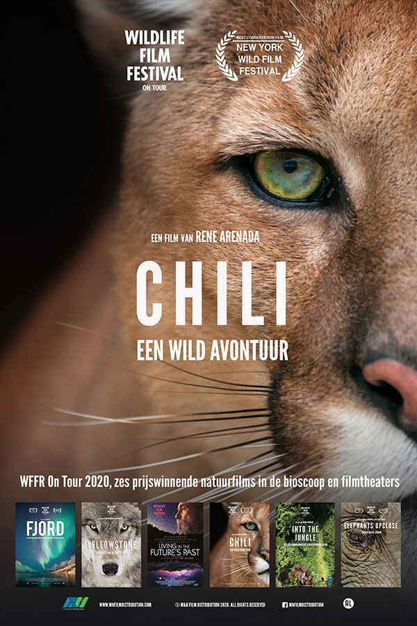 Chili Chili
