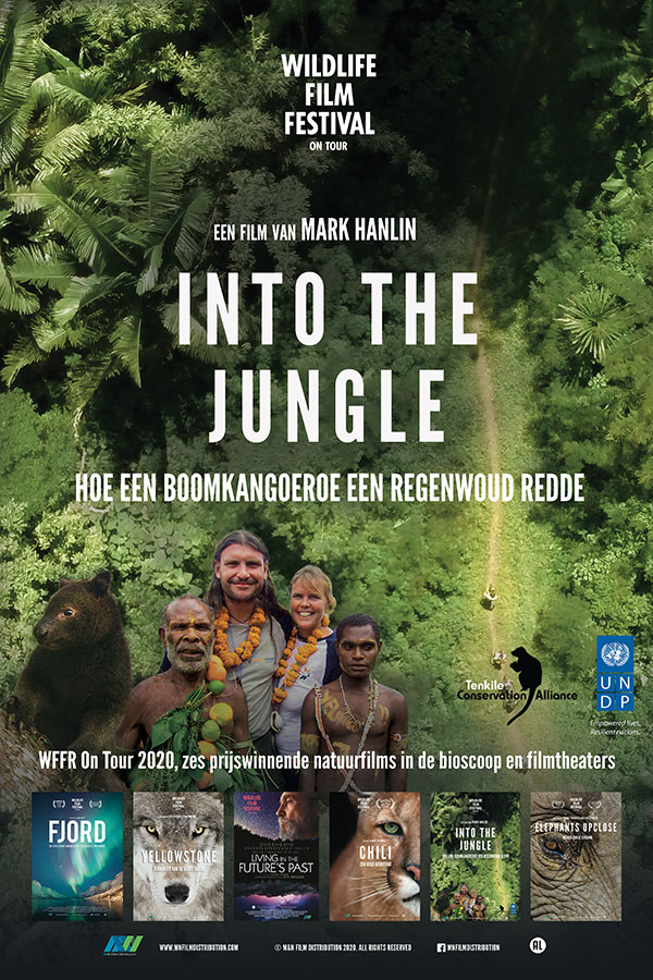 Into the Jungle Into the Jungle
