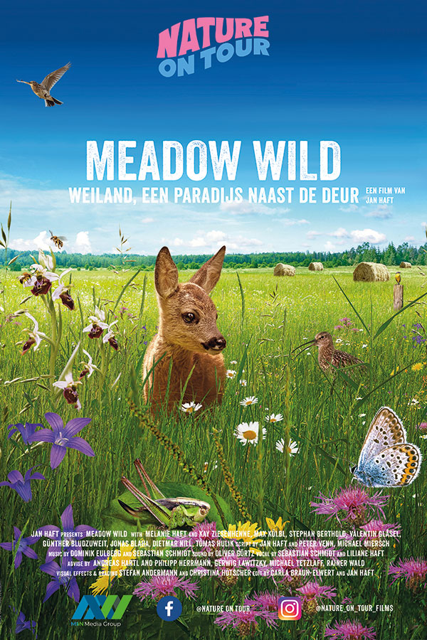 Nature on Tour - Meadow Wild