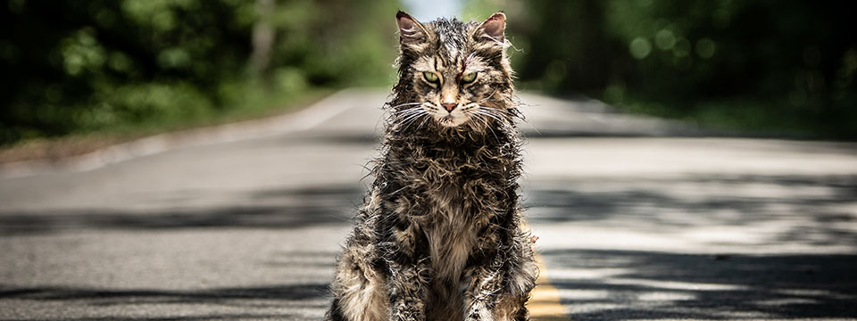 Pet Sematary