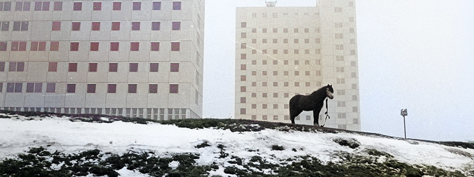 De meester en de reus