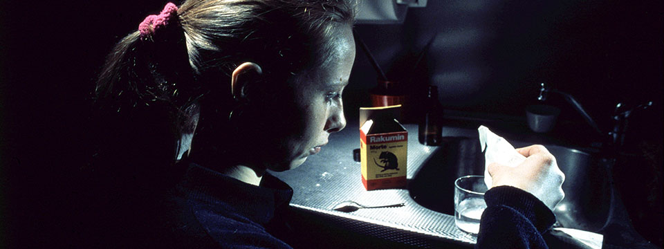 Tulitikkutehtaan tyttö (The Match Factory Girl)
