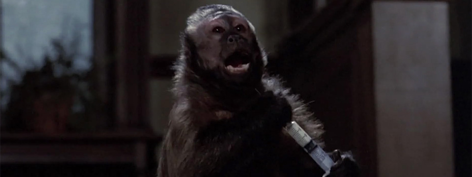 Monkey Shines
