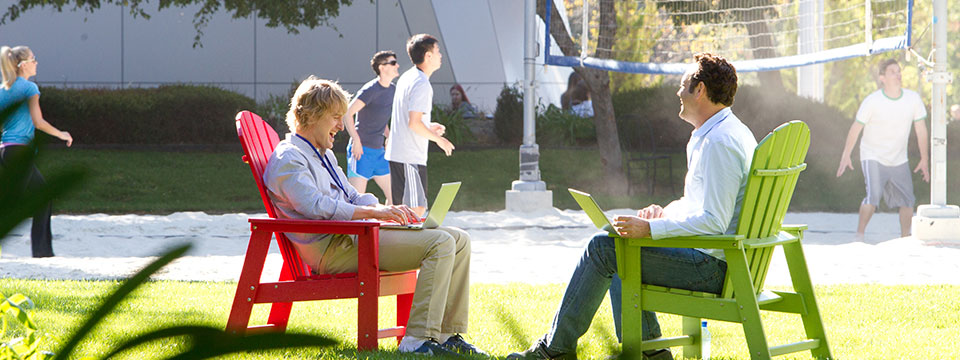 The Internship