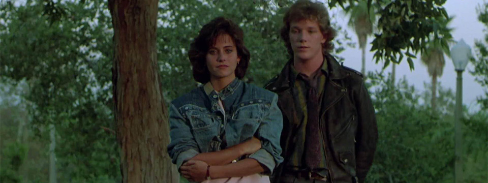 Masters of the Universe