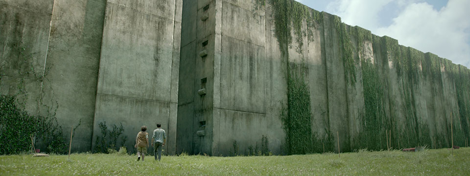 The Maze Runner