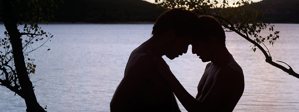 L'inconnu du lac (Stranger by the Lake)