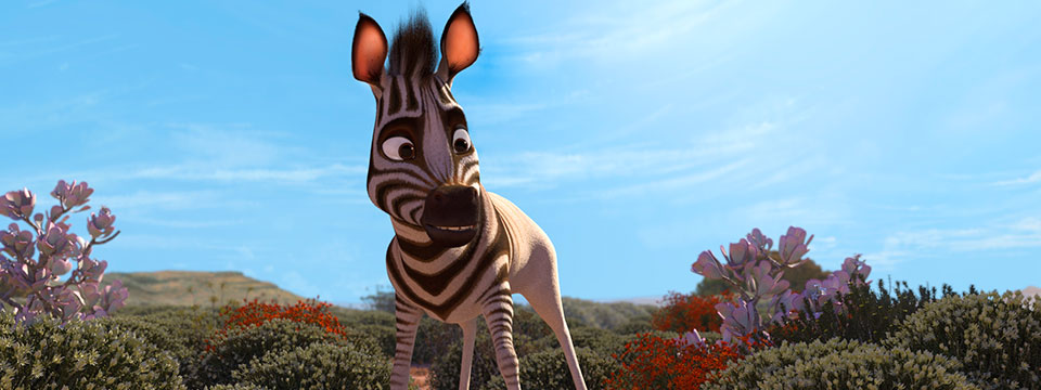 Koemba: de zebra die zijn strepen kwijt is