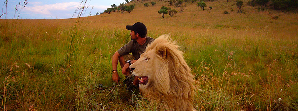 African Safari