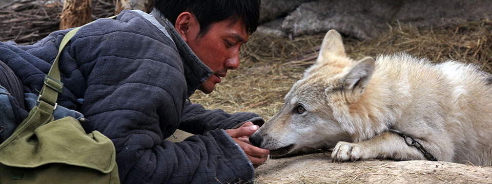 The Last Wolf (Wolf Totem)