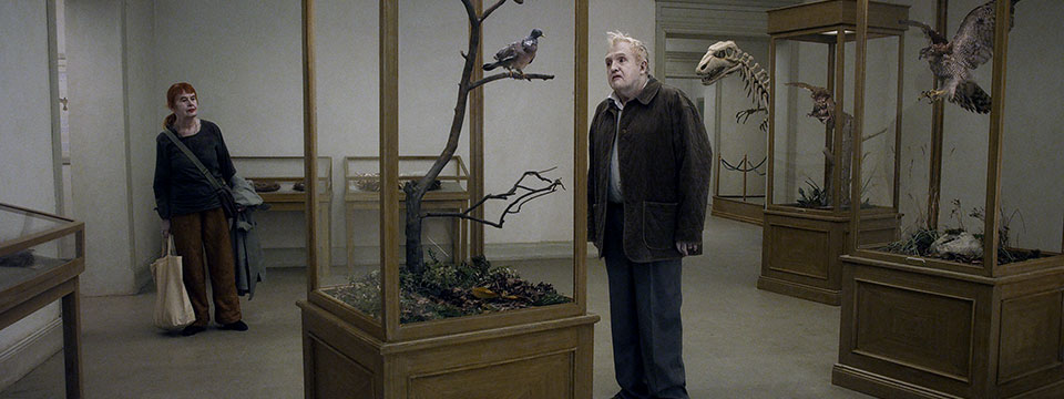 En duva satt på en gren och funderade på tillvaron (A Pigeon Sat on a Branch Reflecting on Existence)