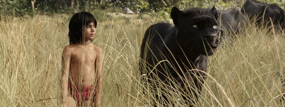 The Jungle Book