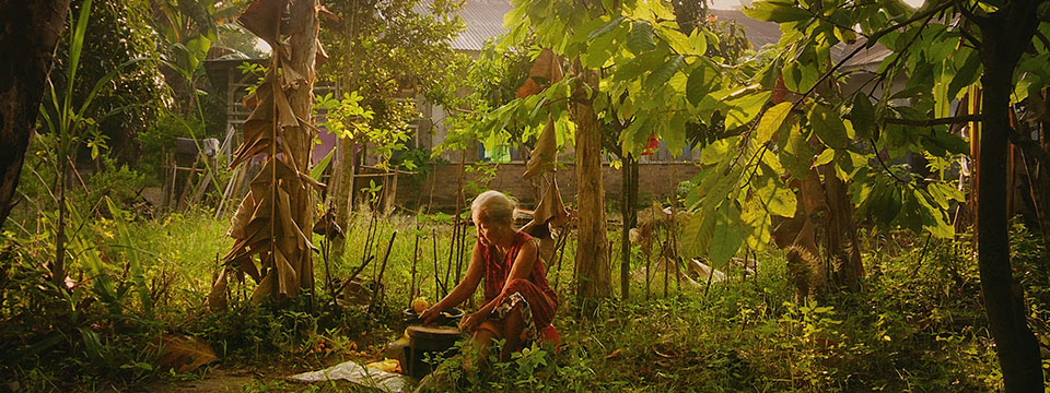 The Look of Silence