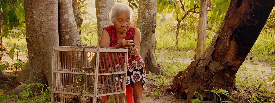 The Look of Silence