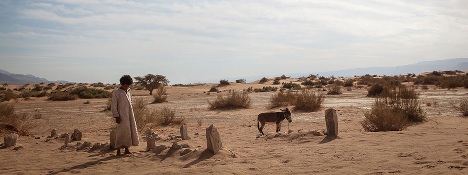 Theeb