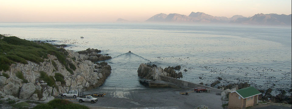 Between the Devil and the Deep