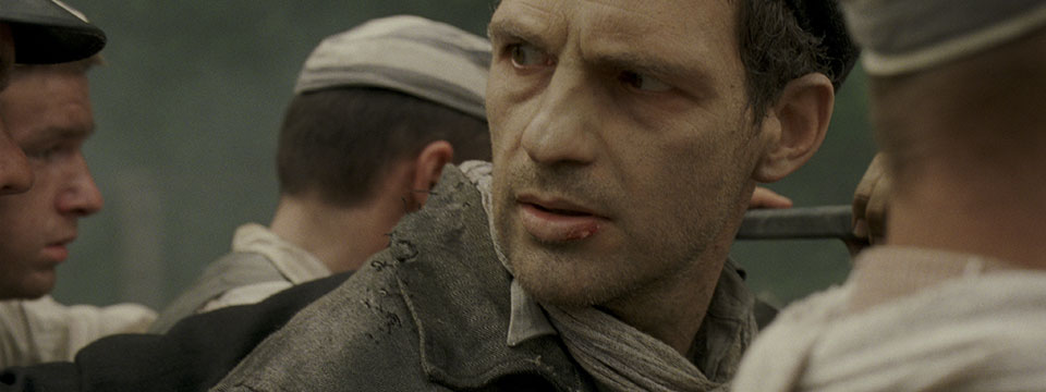 Saul fia (Son of Saul)