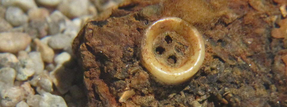 El botón de nácar (The Pearl Button)