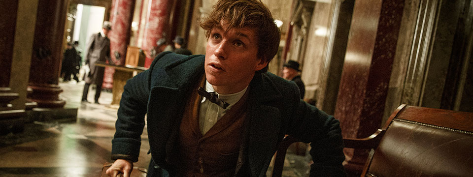 Fantastic Beasts and Where to Find Them