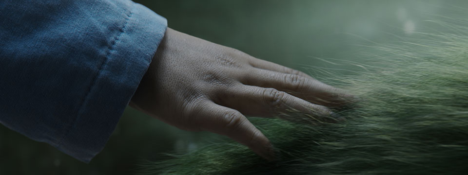 Pete's Dragon (Peter en de draak)