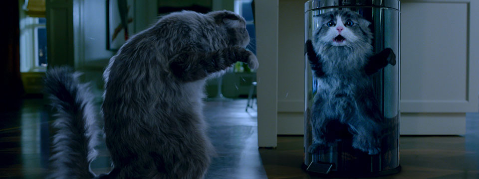 Meneer Pluizenbol (Nine Lives)
