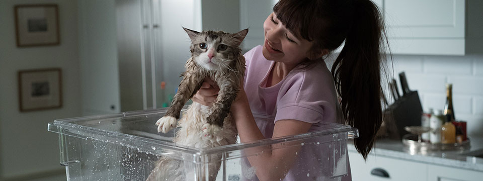 Meneer Pluizenbol (Nine Lives)