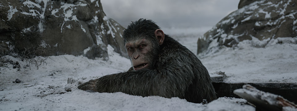 War for the Planet of the Apes