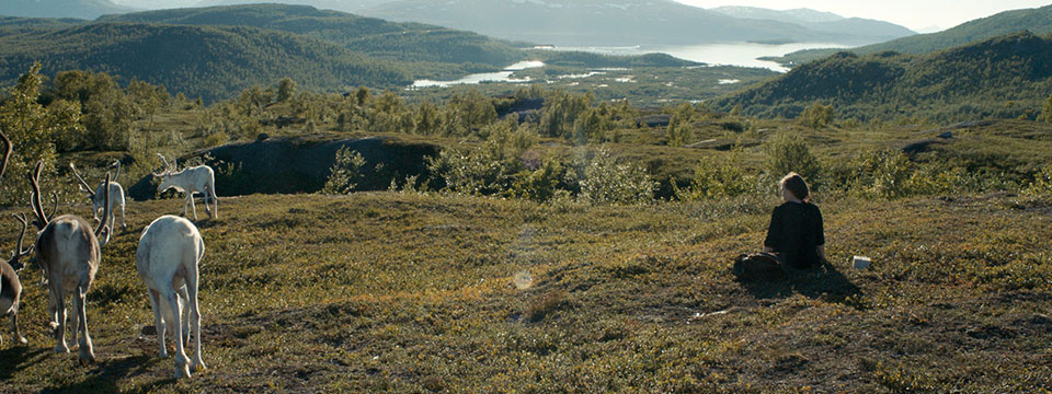 Sameblod (Sami Blood)
