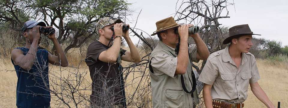 Safari