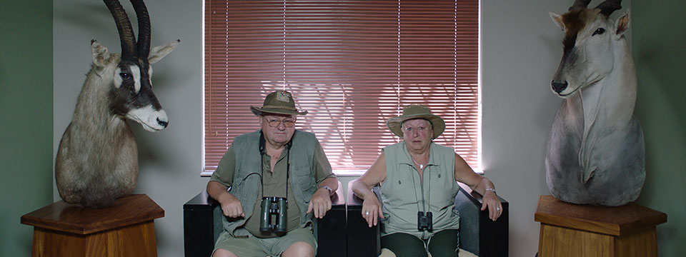 Safari