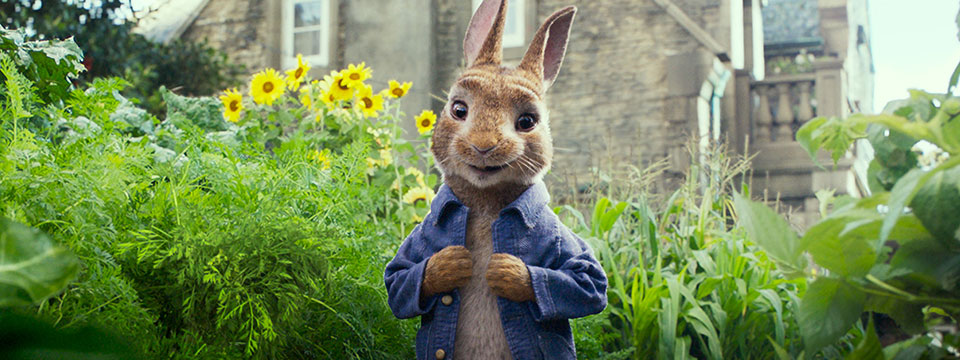 Peter Rabbit (Pieter Konijn)