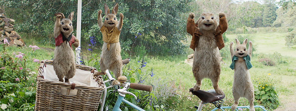 Peter Rabbit (Pieter Konijn)