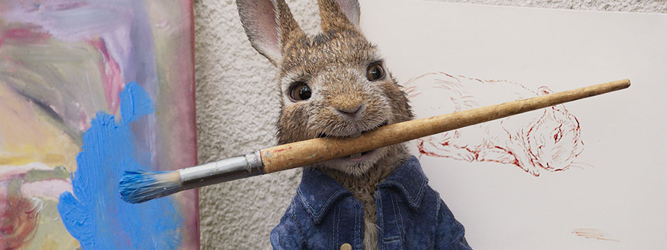 Peter Rabbit (Pieter Konijn)
