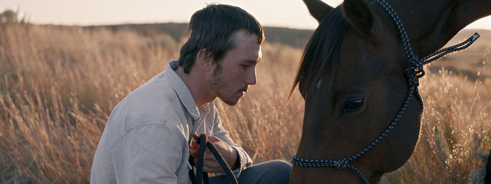 The Rider