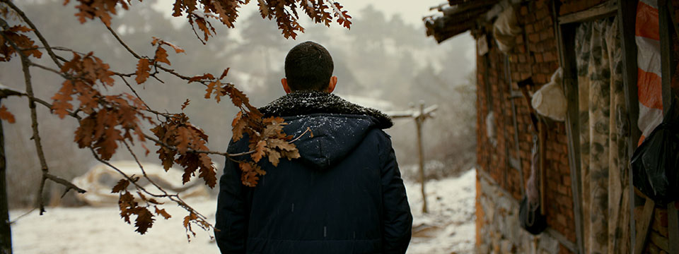 Ahlat agaci (The Wild Pear Tree)