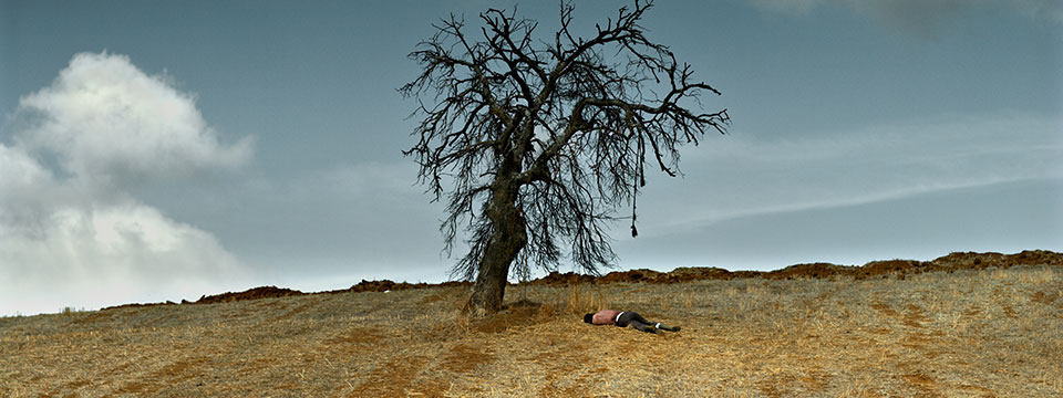 Ahlat agaci (The Wild Pear Tree)