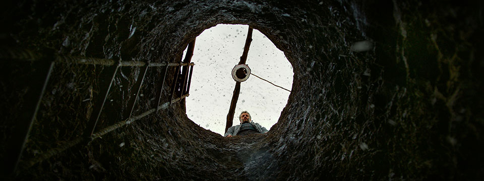 Ahlat agaci (The Wild Pear Tree)