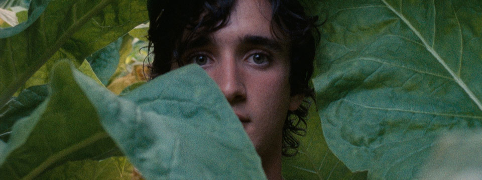 Lazzaro felice (Happy as Lazzaro)