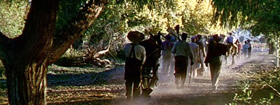 Song of the South (Melodie van het zuiden)