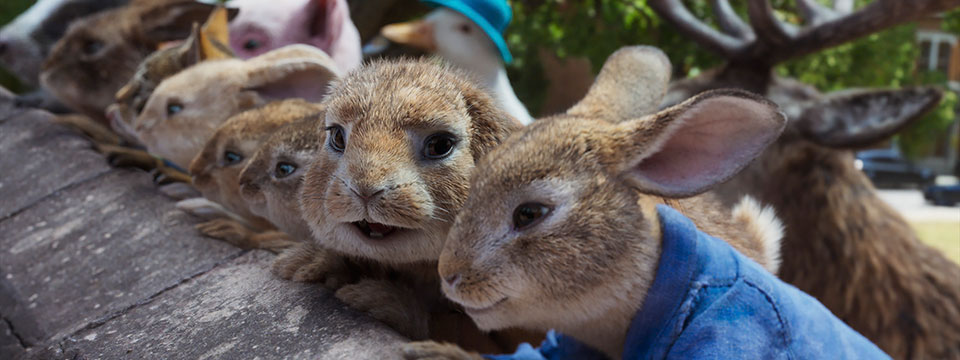 Peter Rabbit 2: The Runaway (Pieter Konijn op de vlucht)