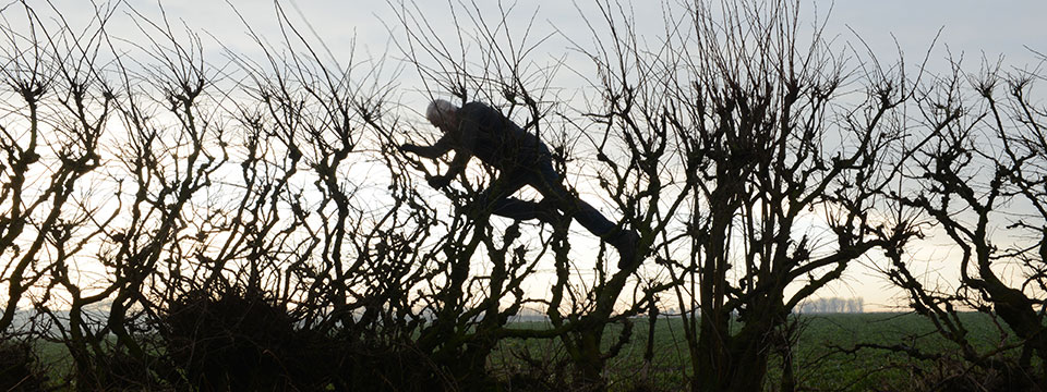 Leaning Into the Wind: Andy Goldsworthy