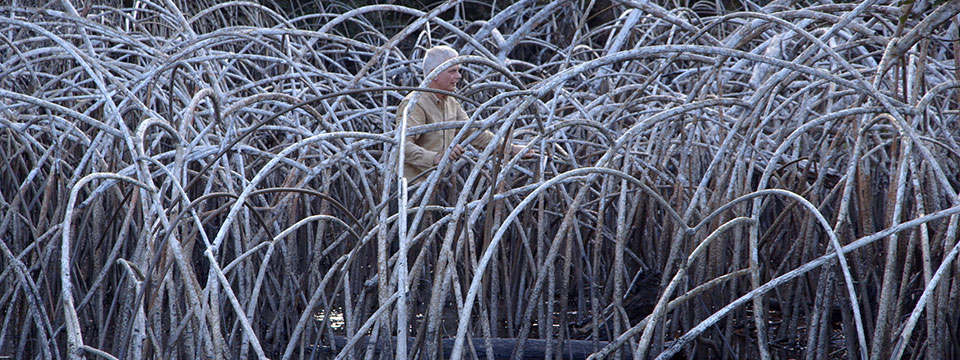 Leaning Into the Wind: Andy Goldsworthy