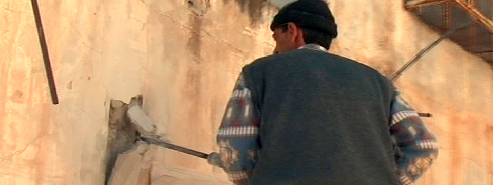 The Man Who Stole Banksy