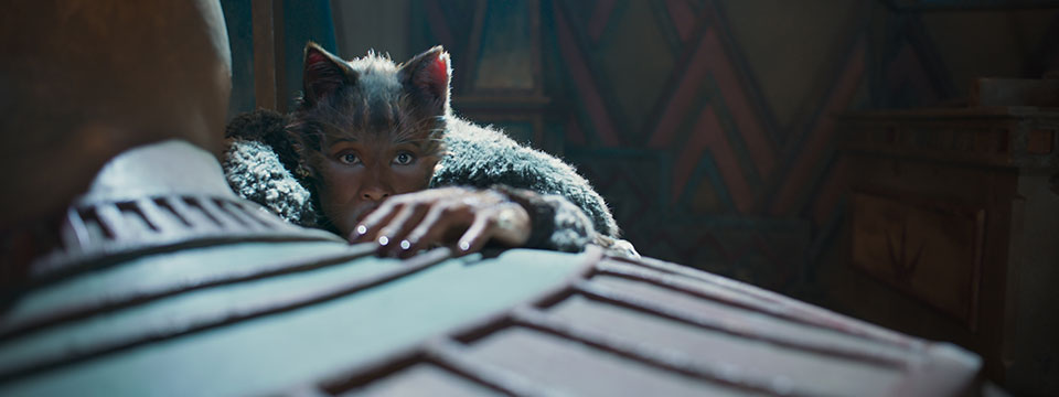 Cats