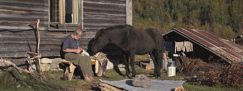 Drømmeland